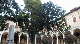 Cimitero di San Michele in Isola