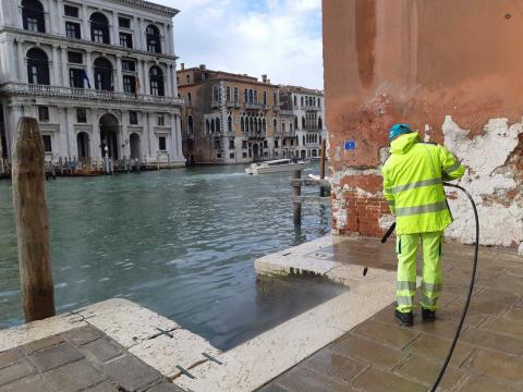 Chi è Veritas e cosa fa